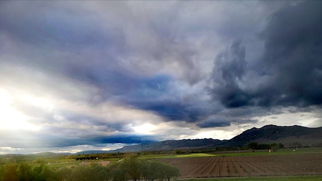 Amezada lluvia