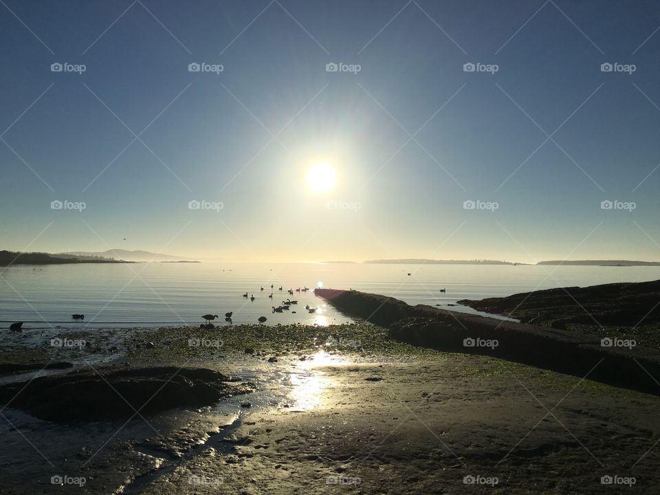 Sun rays over the ocean