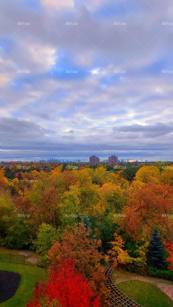 Fall