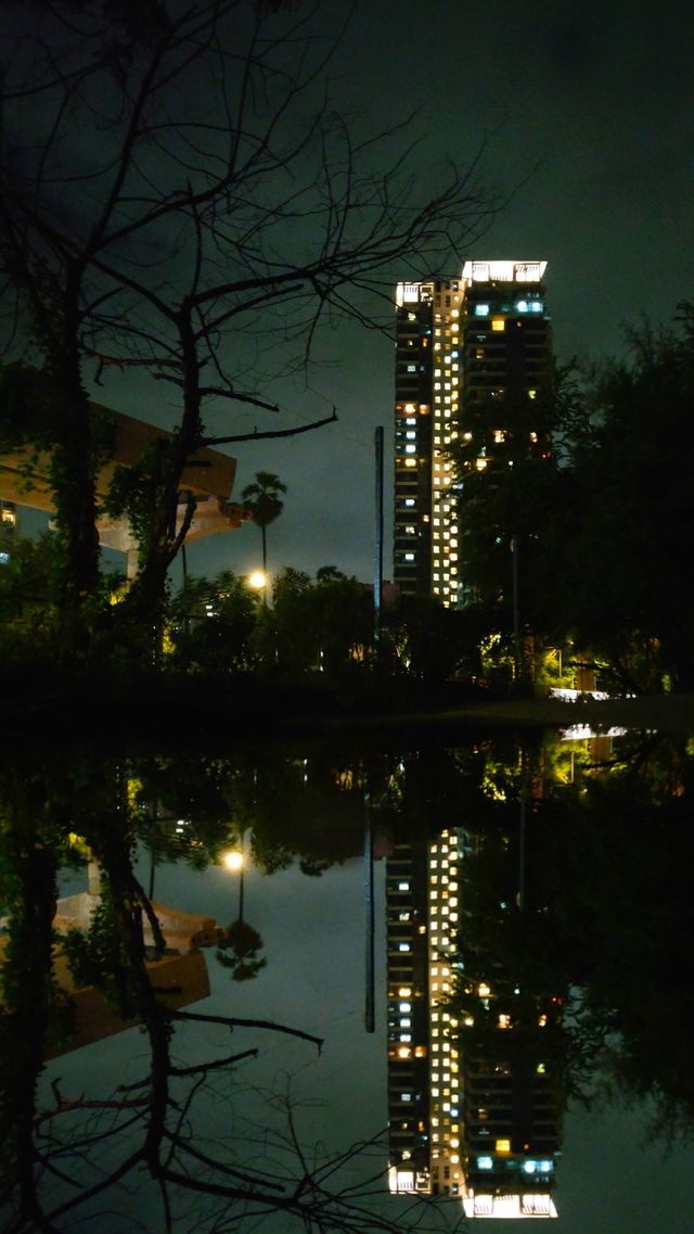 reflection😊😊😊