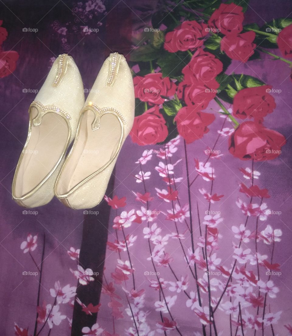 flowers
shoes
nature