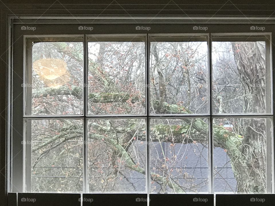 Window tree view