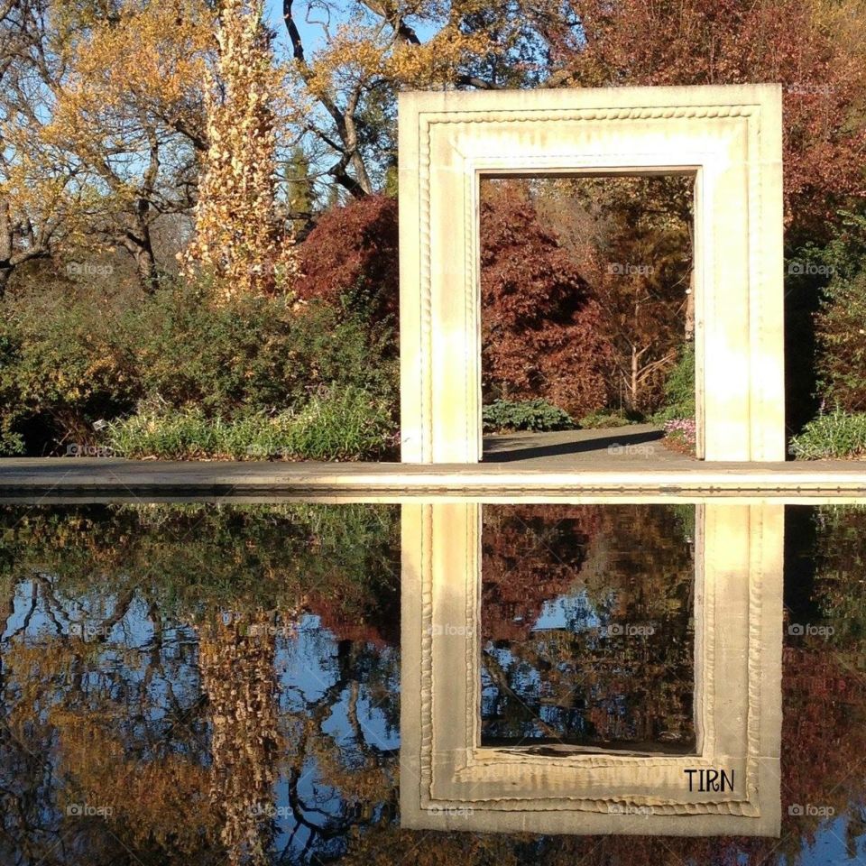 Framed Reflection