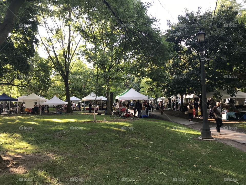 Outdoor Farmers Market in The City Park