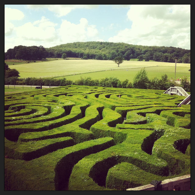 green play safari maze by ems87