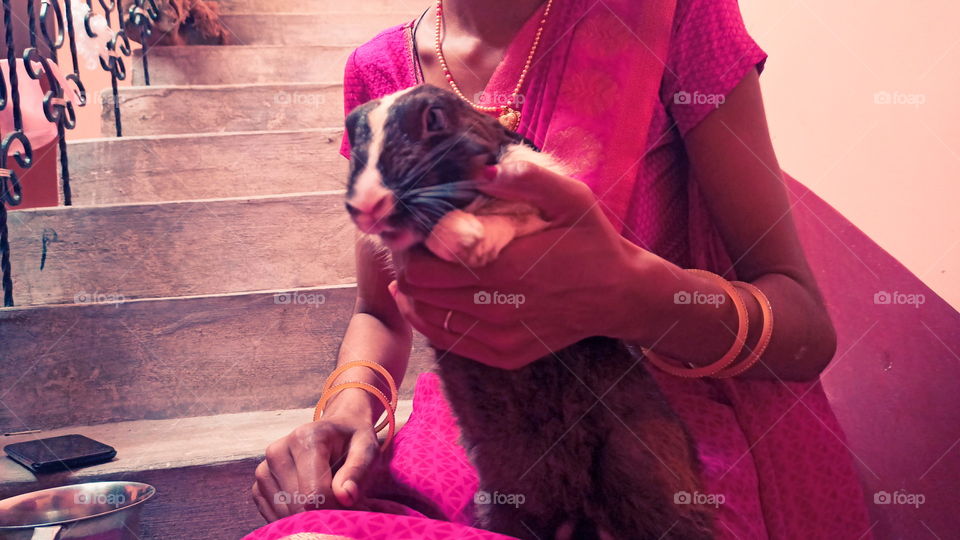 Rabbit Nice Look India