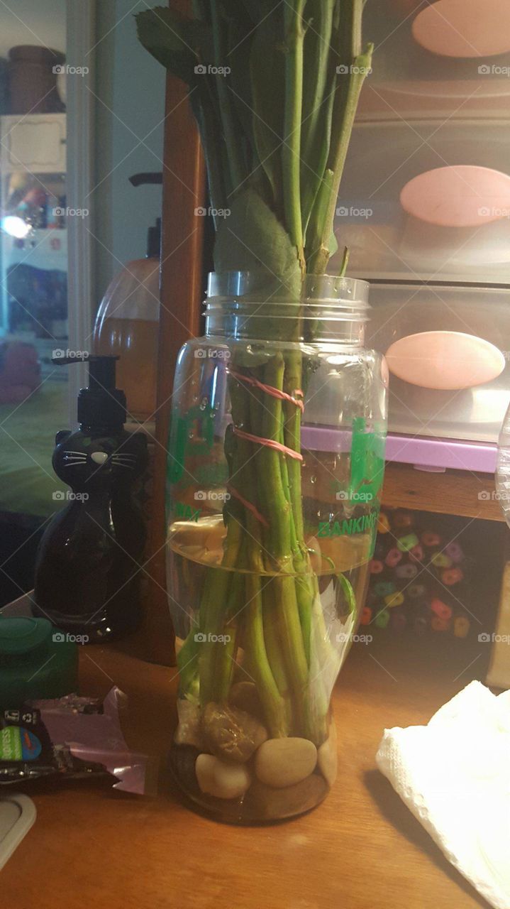 makeshift vase, water bottle