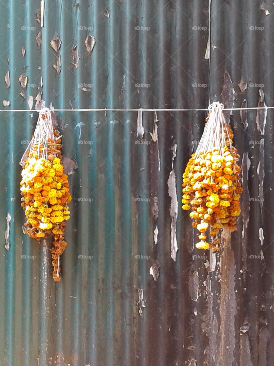 dead flowers garlands with chill and lemon too on string