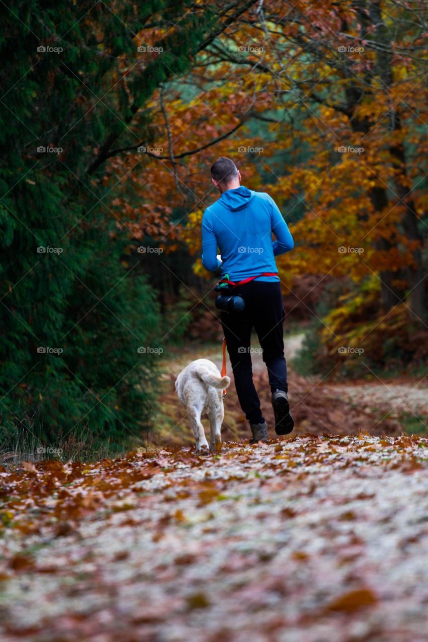 walking the dog on a nice autumn evening