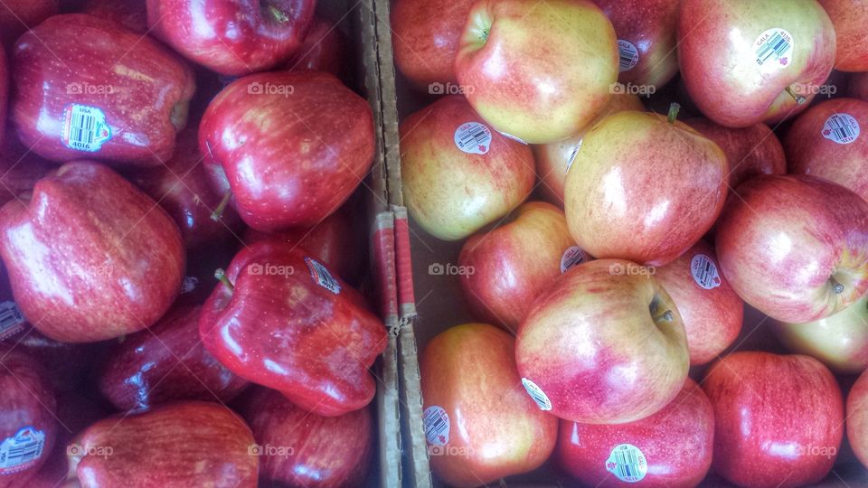 Apples . Red Delicious & Gala Apples Side by Side
