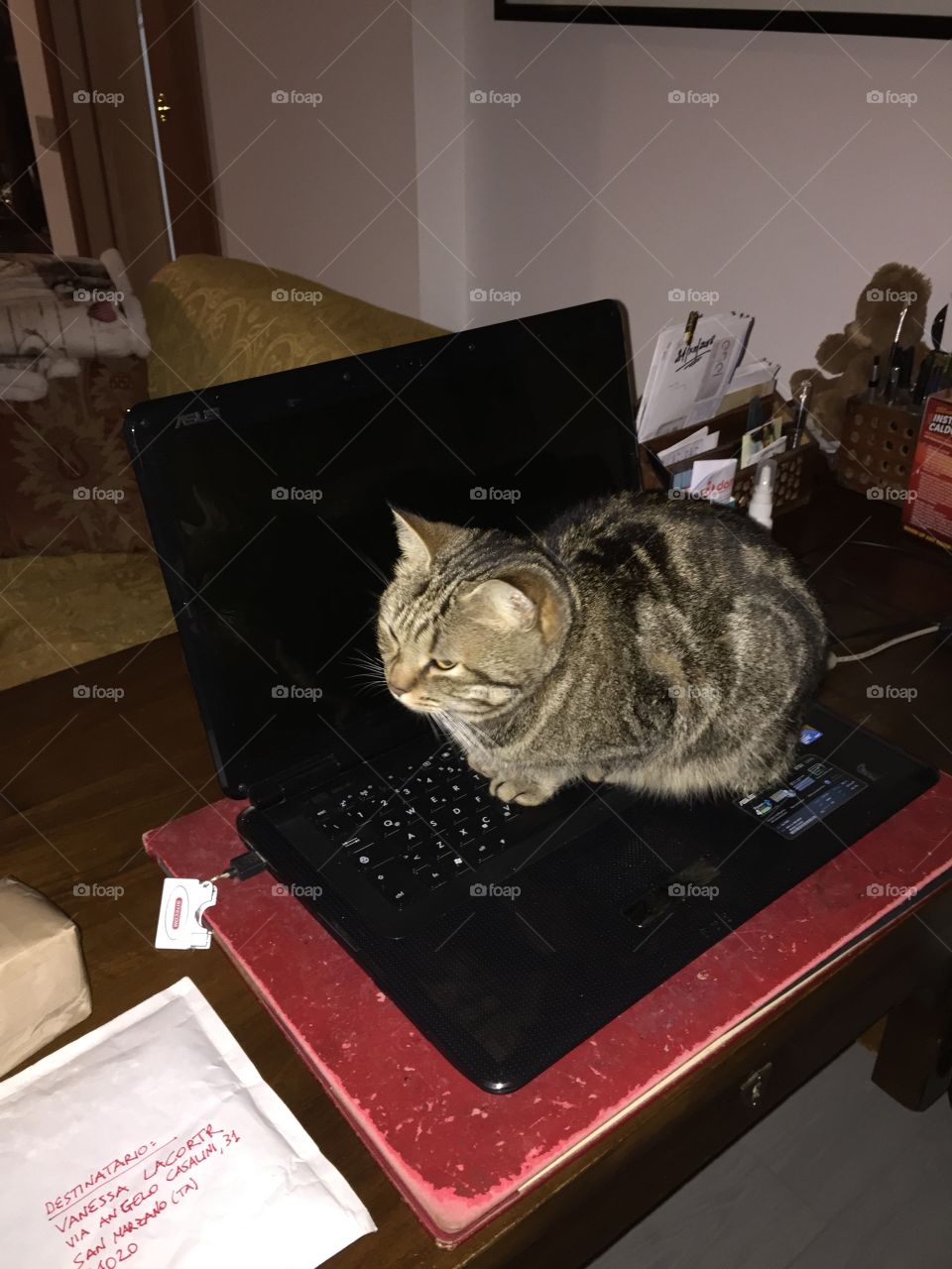 You can’t work when I’m here