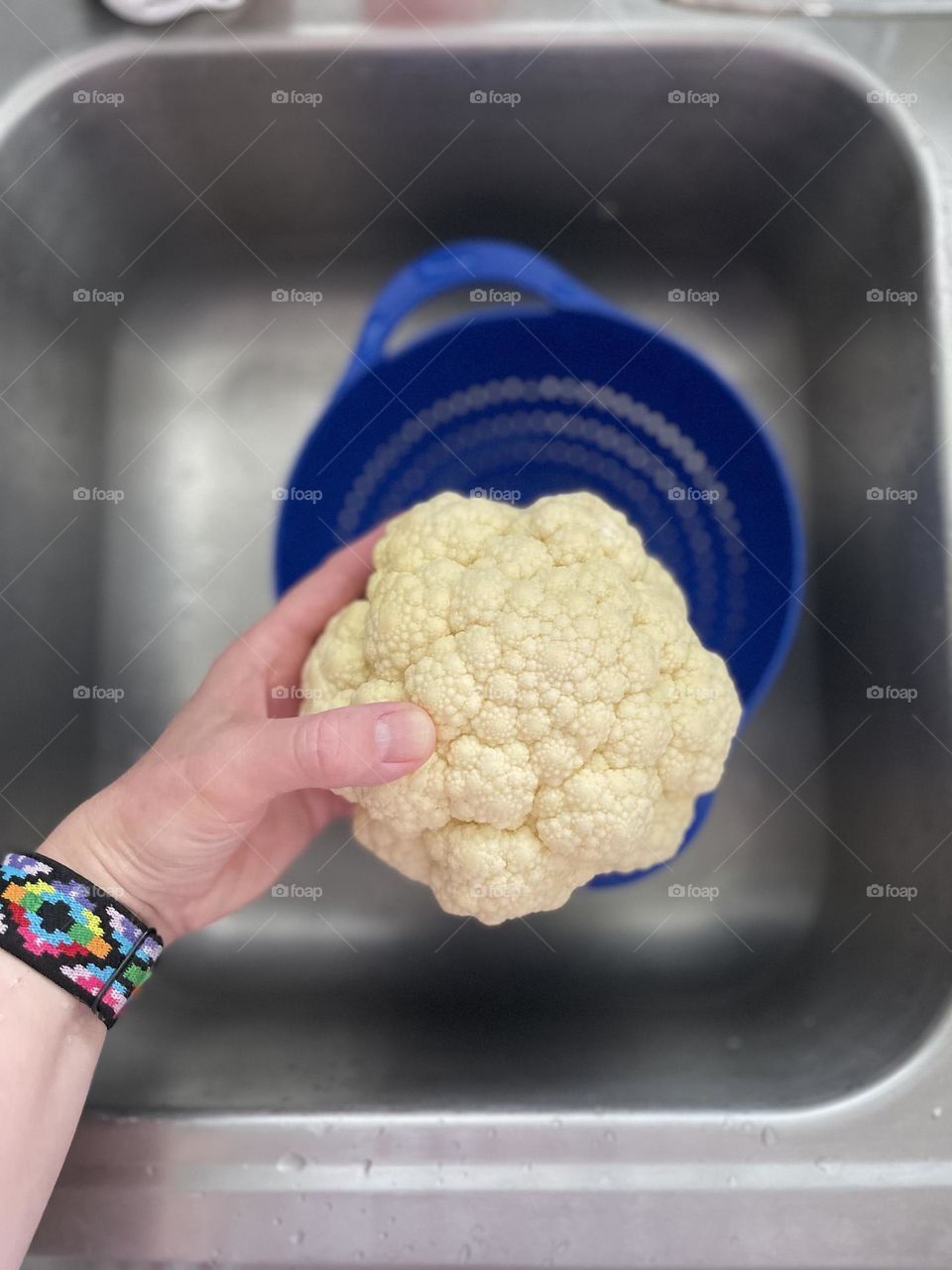 Woman’s hand holding cauliflower, washing cauliflower in the sink, preparing dinner for family, Mother prepares dinner 