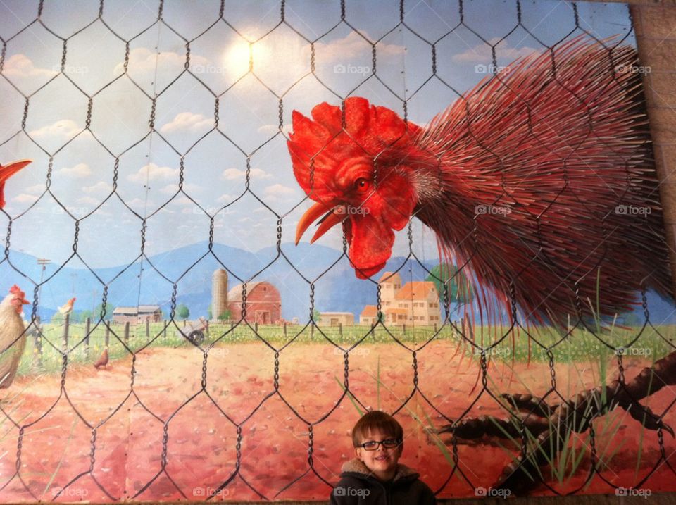 Giant Rooster, small boy