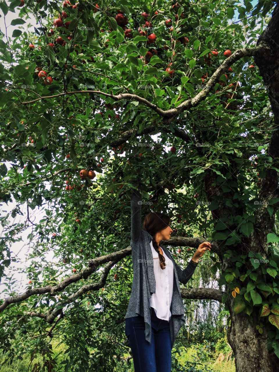 Pick Me. Apple picking with my sister at Styers Apple Orchard, PA