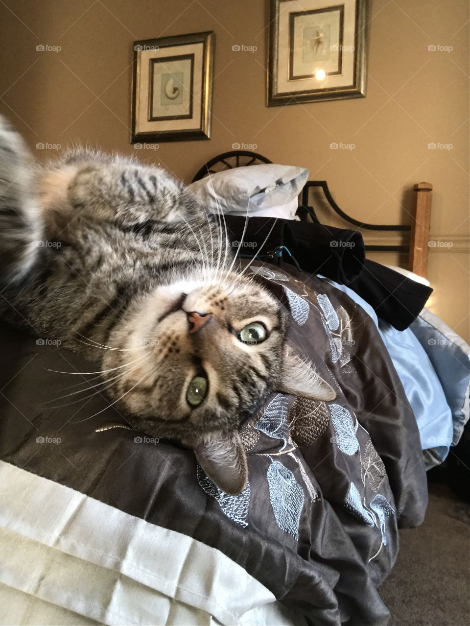 I’m watching you ...