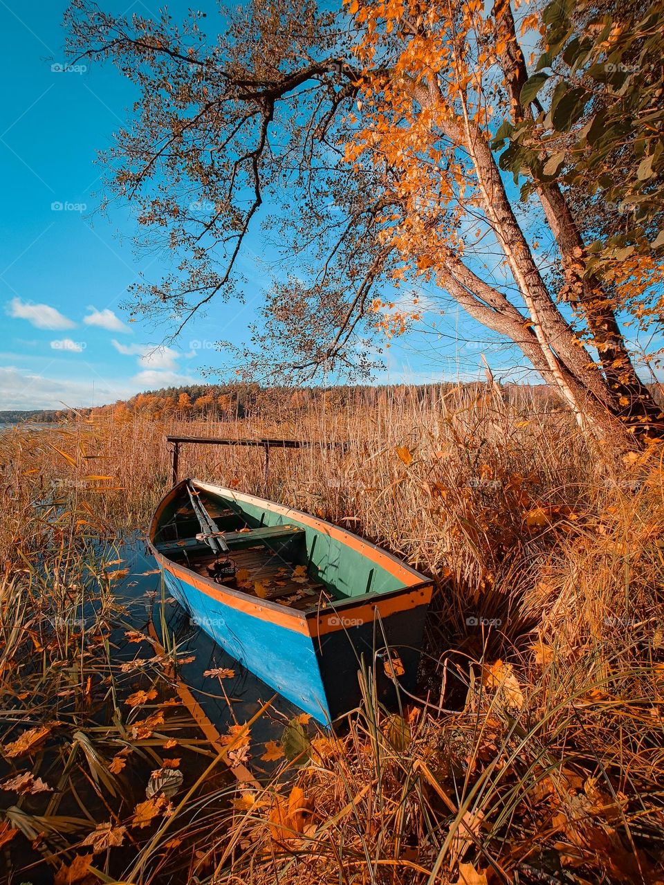 boat