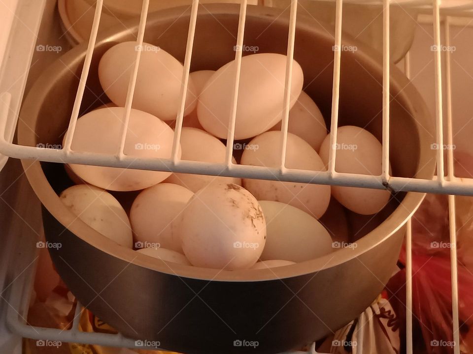 nutritious and energetic