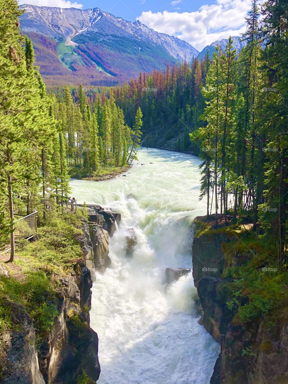 Exploring the outdoors