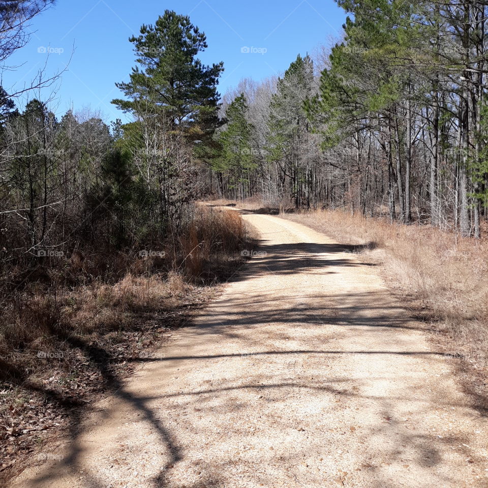 Backroad Country Riding