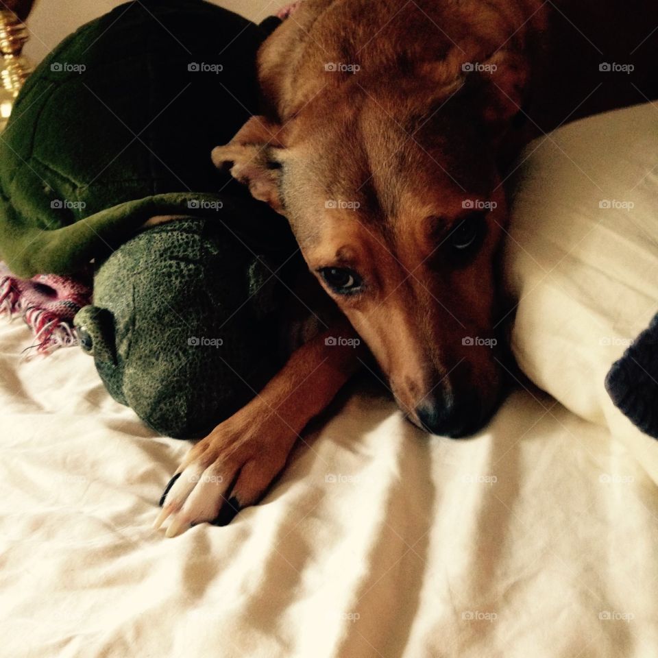 A penny for your thoughts