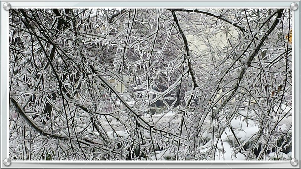 Winter, Desktop, Tree, Frost, Snow