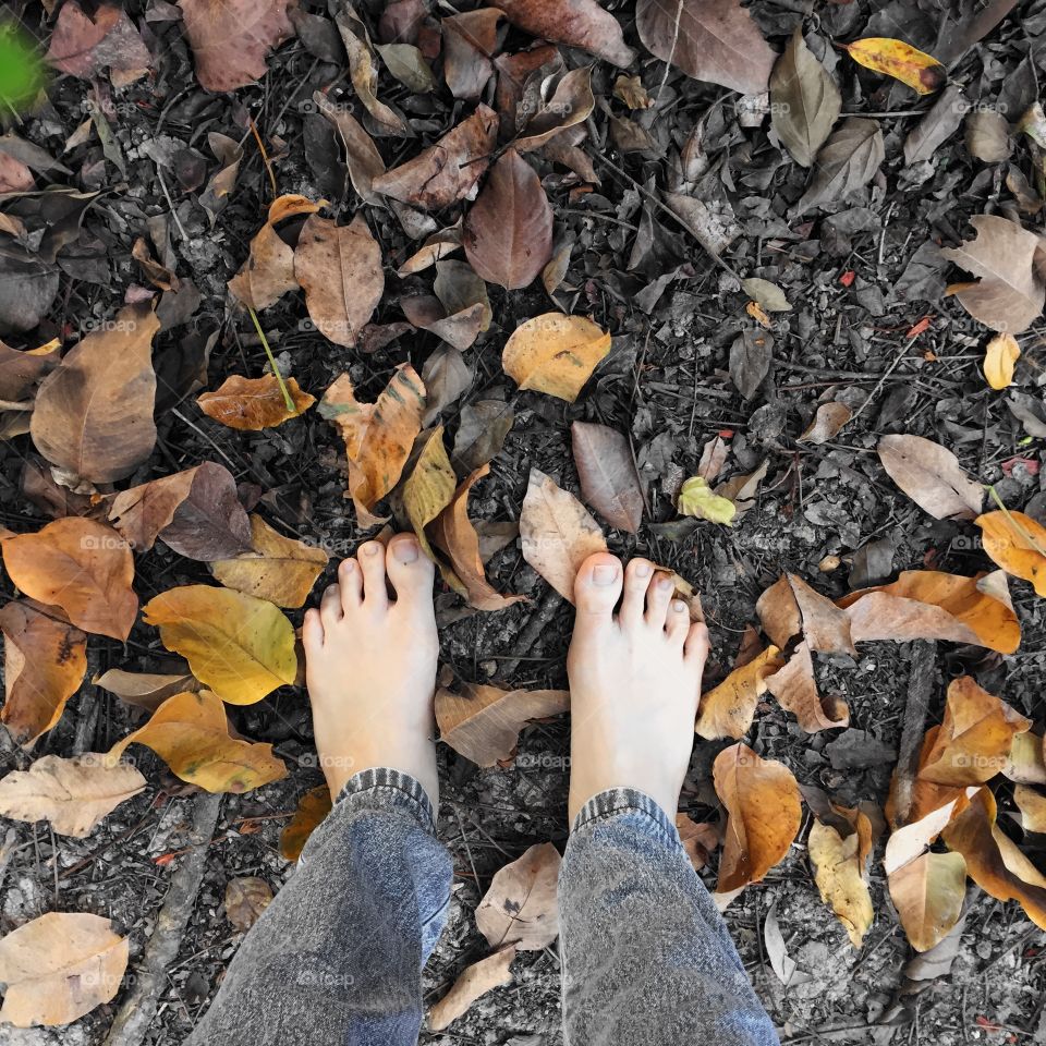 Two bare feet stepping on dry leaves great for any use.