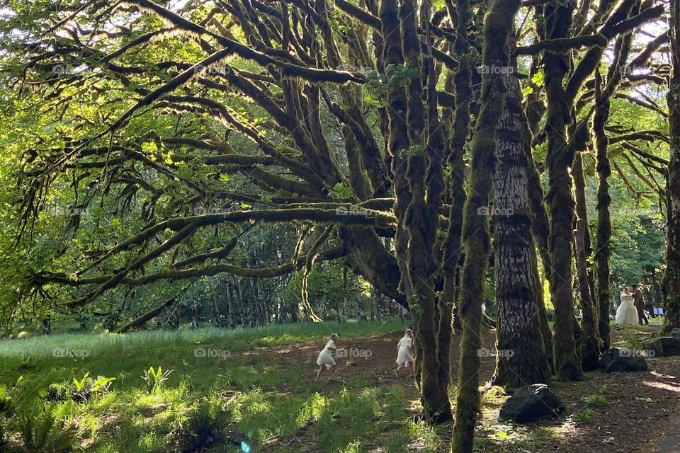 Two girls playing in the forest