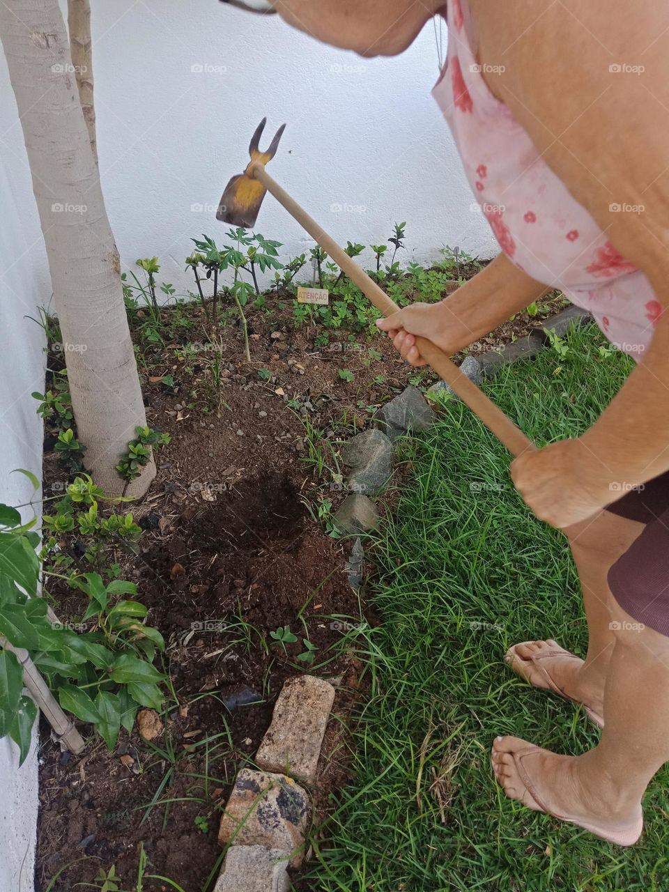 preparing ground to plant, rack, a woman working
