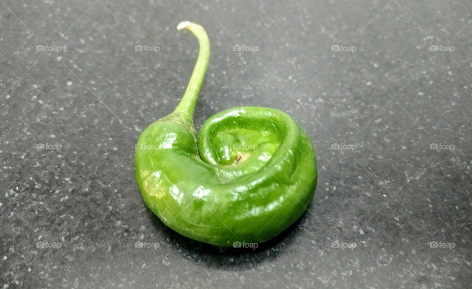 Snail shaped Green Chilly