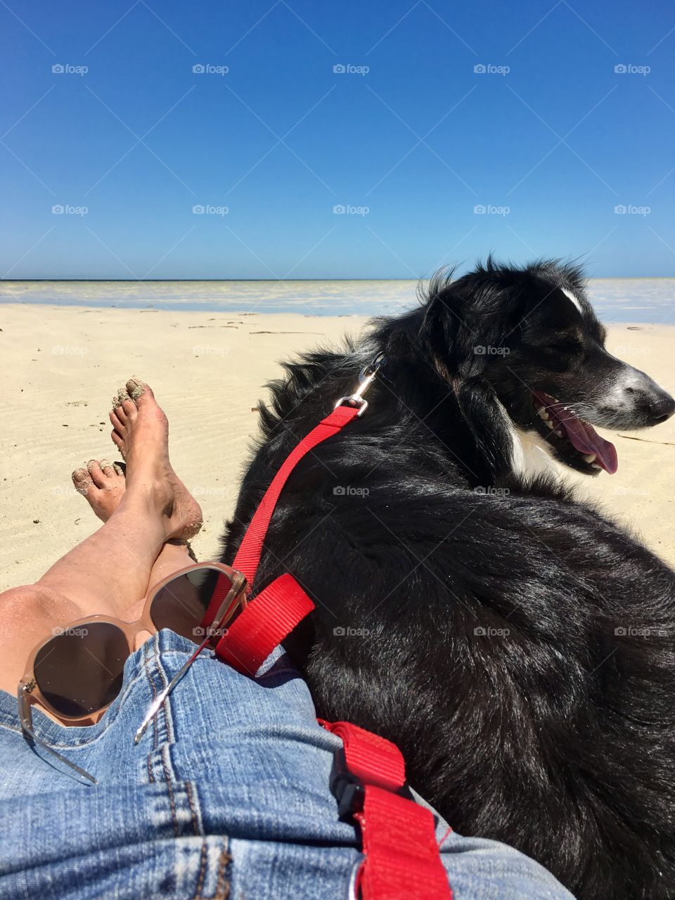 Woman with border collie on red leash lead laying down on beach, bare legged wearing skirt and looking out onto the horizon 