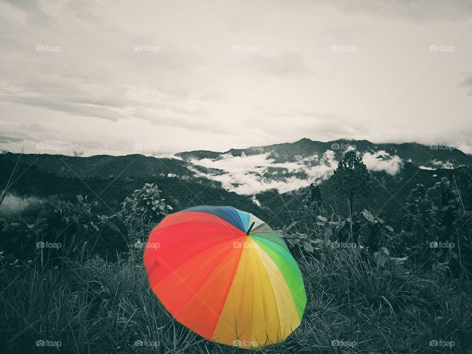 colorful umbrella.