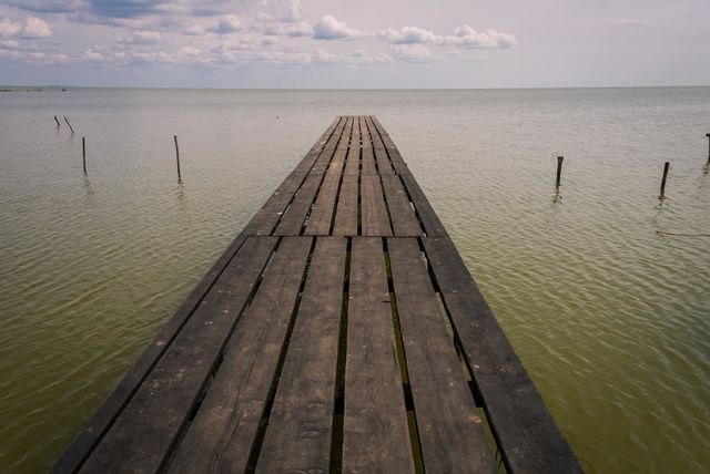 Wooden bridge
