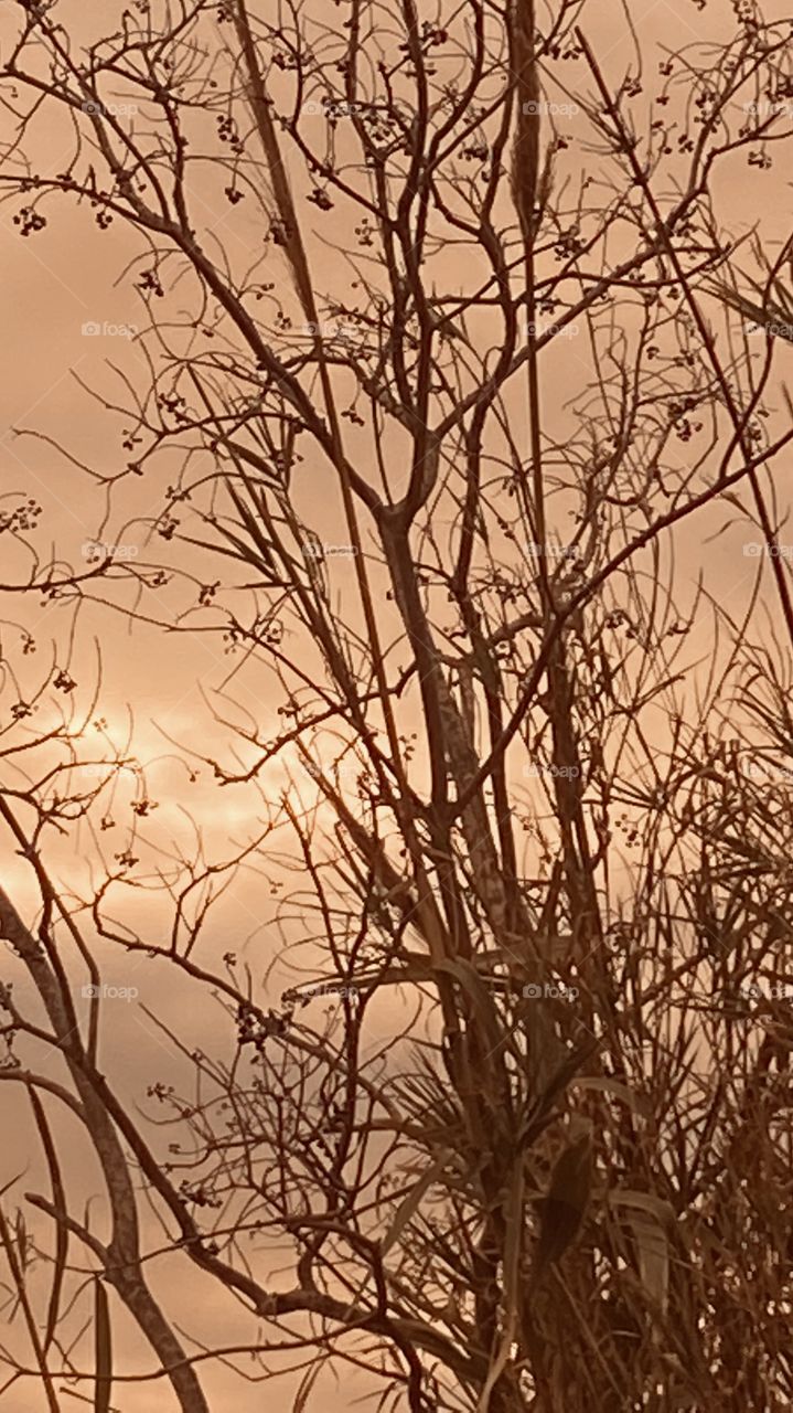 Lovingly completely Overcast Clouds with Sun Breaks which Gave Me My Break to Capture Colors of the Sky. 