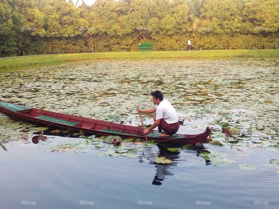 A man who is rowing the boat in a pond 