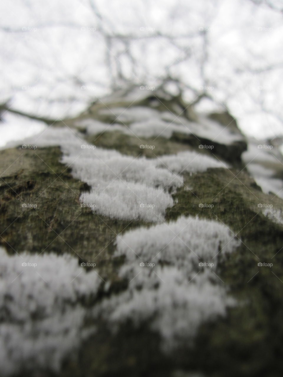 Snow, Winter, No Person, Frost, Landscape