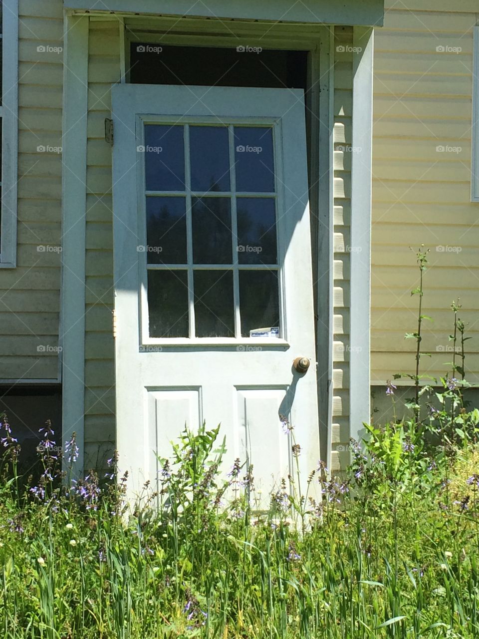 Forgotten door in spring time