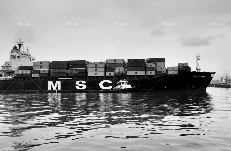 Shipping Containers 🚢