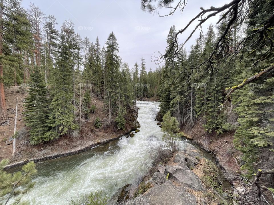 Rushing river rapids 