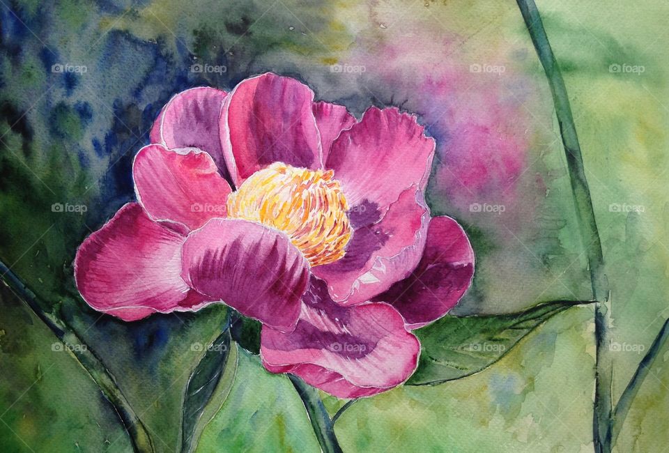 Watercolor peony flower by me 