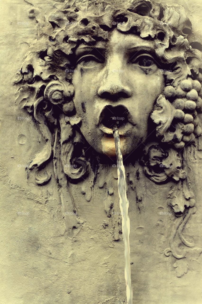 Fountain Face