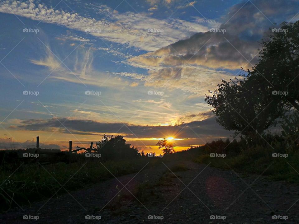 sun and clouds. a walk in the evening