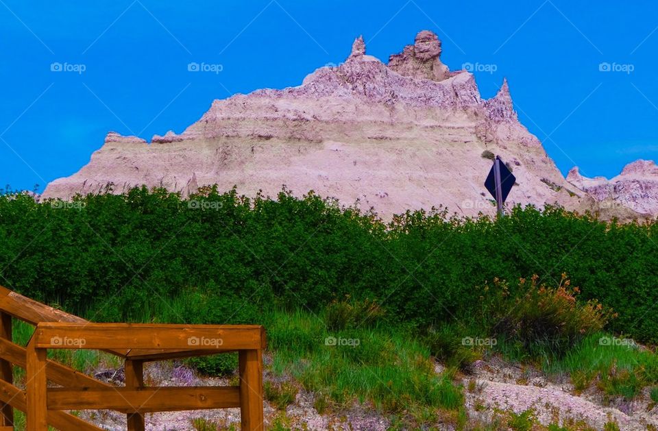 Trip to South Dakota