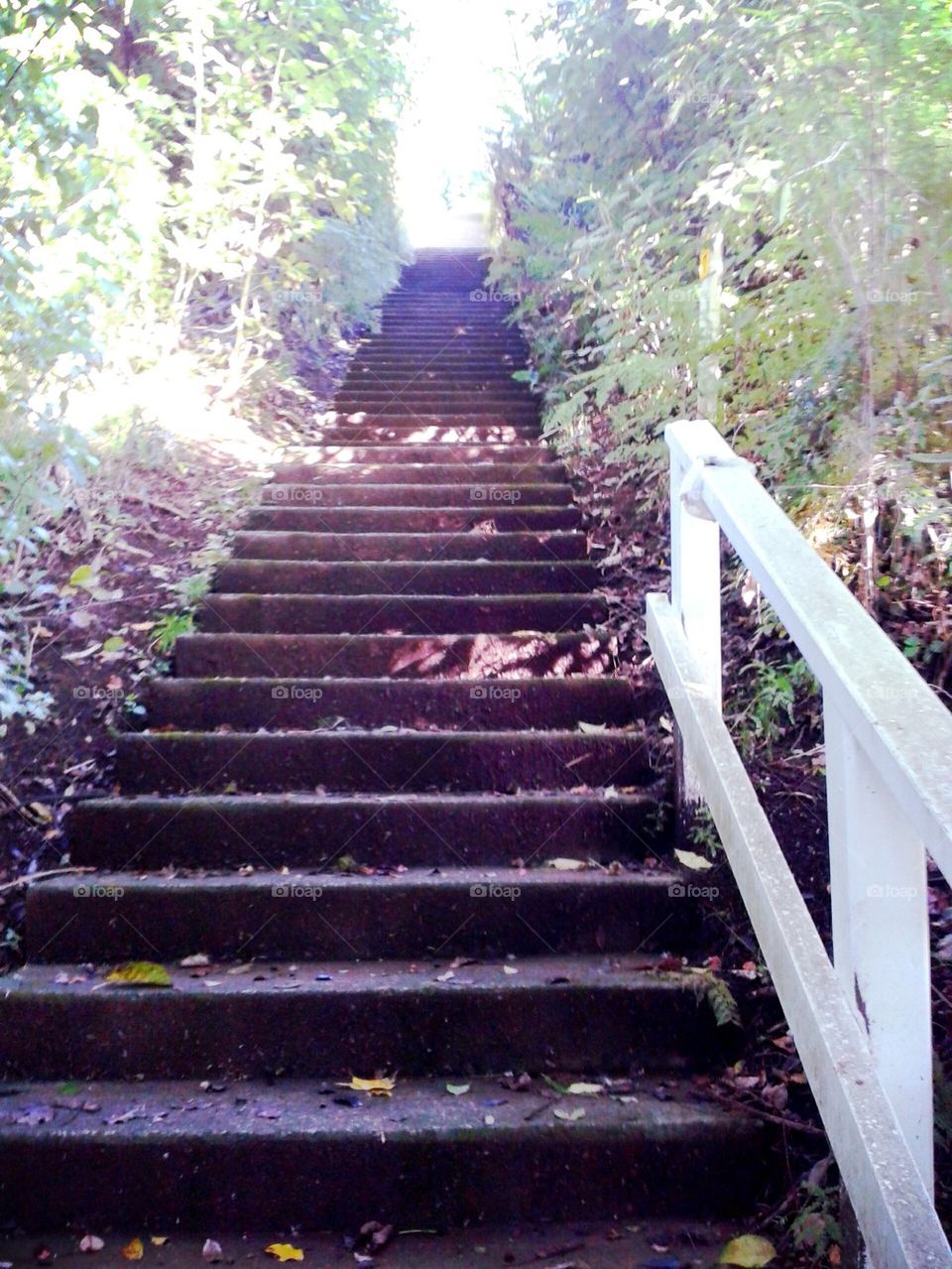 stairs