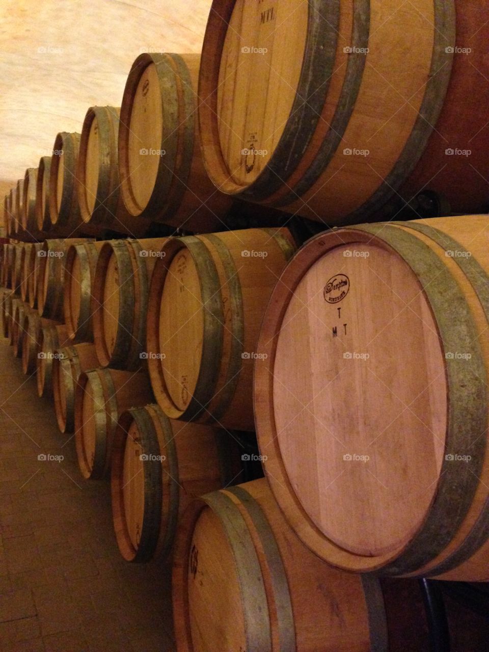 Wine barrels 