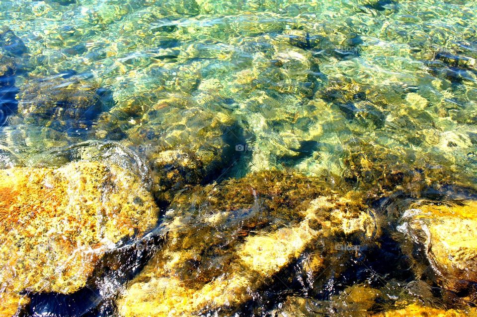 Ocean life. Taken at Paphos harbour Cyprus 
 