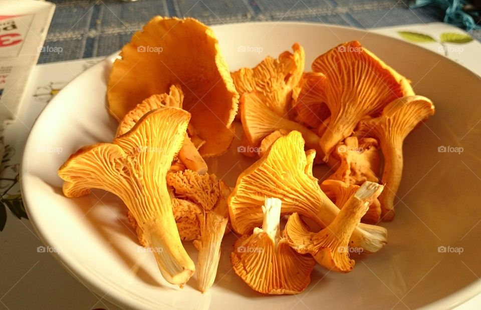 chanterelles. chanterelles 