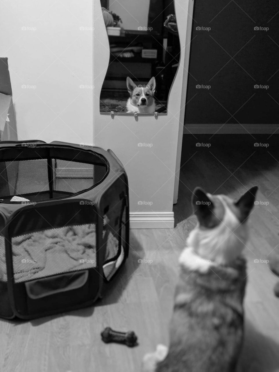 Who is that person in the mirror? 