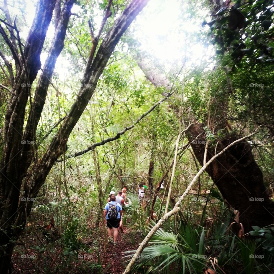 hiking . We went on a walk to find a Geocache.