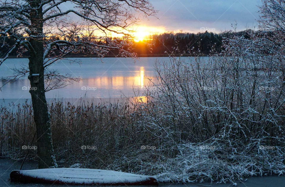 Winter sun