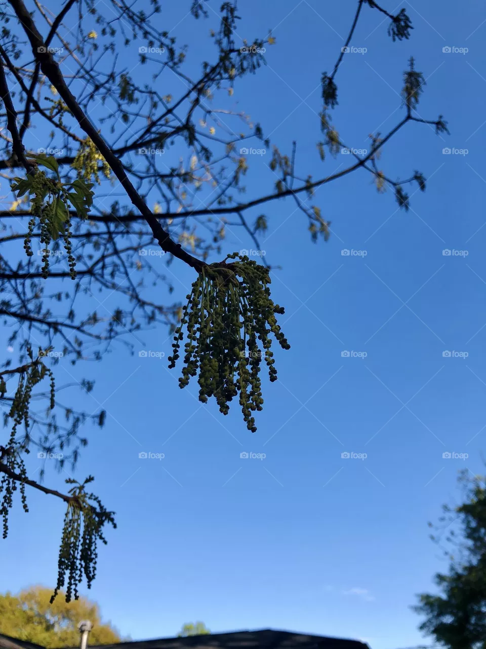Look up